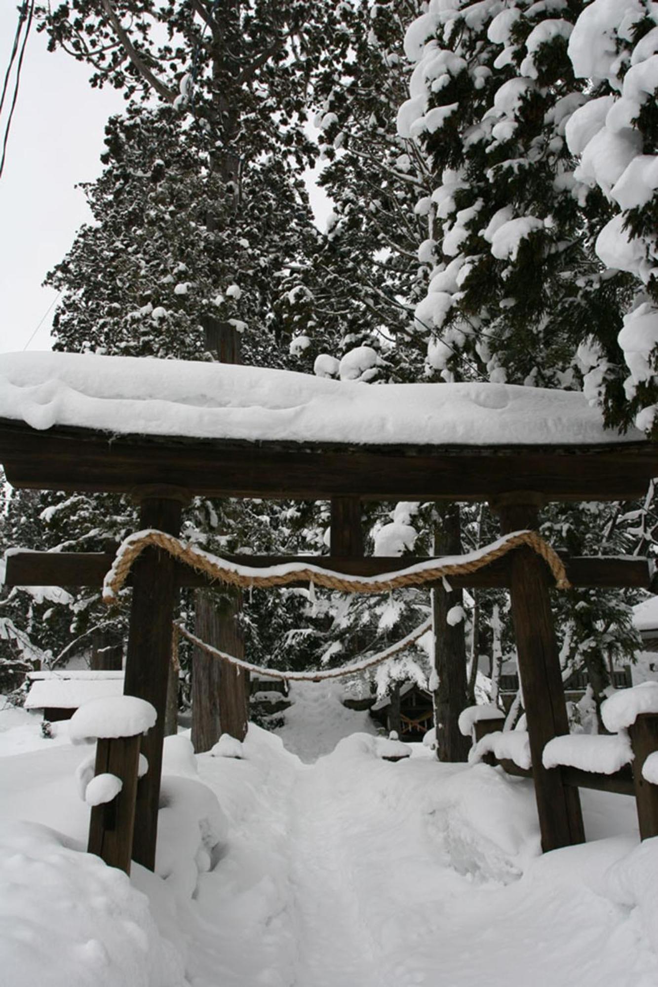 Hakuba Mominoki Hotel Exteriör bild